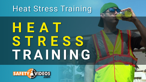 Heat Stress Video