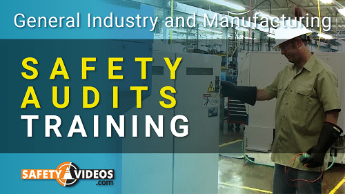 Safety Audits Training