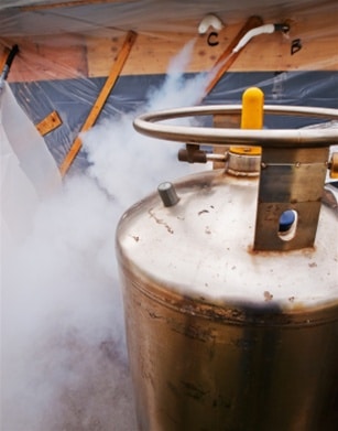 Cryogenic and Compressed Gas Safety For Universities
