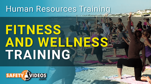 Fitness and Wellness Training