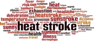 Heat Stress Toolbox Talk - Quick & Easy Safety Tips for 2022