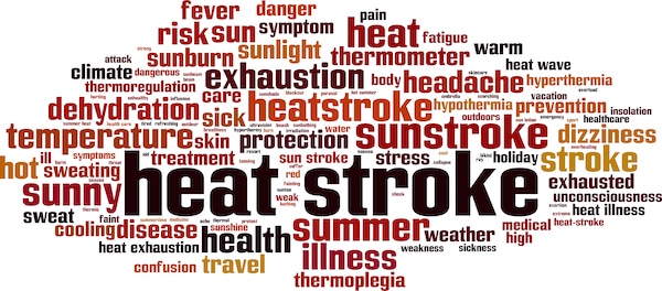 Heat stroke word cloud