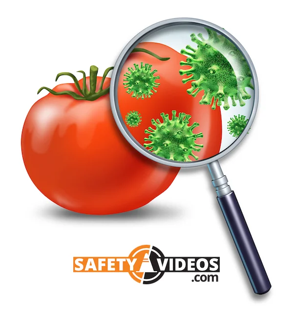 A vivid illustration of a ripe tomato being scrutinized under a magnifying glass, which reveals green virus-like particles on the surface, representing germs or bacteria. The logo 'SAFETYVIDEOS.COM' is positioned in the bottom right corner, suggesting a focus on food safety and hygiene. This image emphasizes the importance of examining and ensuring the cleanliness of food products.