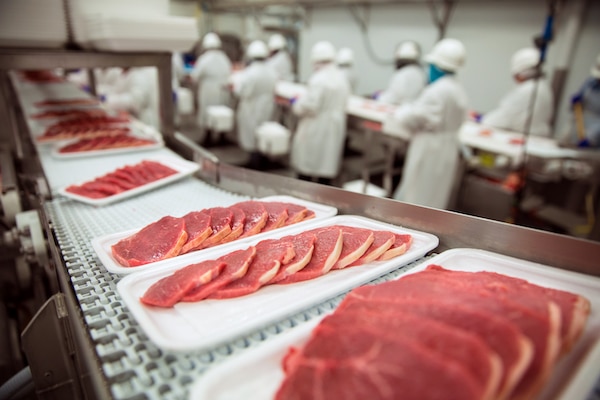 Pork Chops Being Packaged