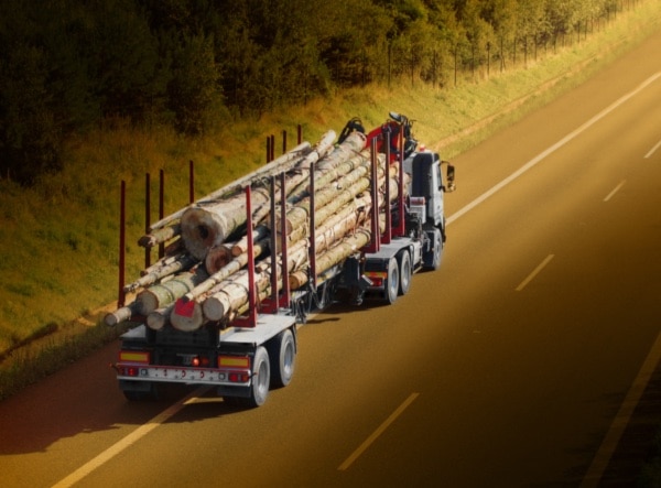 Truck Carrying Logs